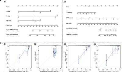 Establishment and Validation of a Novel MRI Radiomics Feature-Based Prognostic Model to Predict Distant Metastasis in Endemic Nasopharyngeal Carcinoma